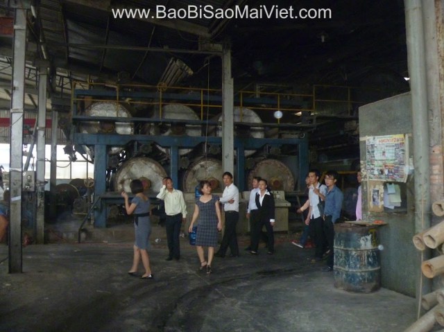 Xưởng sản xuất - Bao Bì Sao Mai Việt  - Công Ty TNHH Sản Xuất Thương Mại Dịch Vụ Sao Mai Việt
